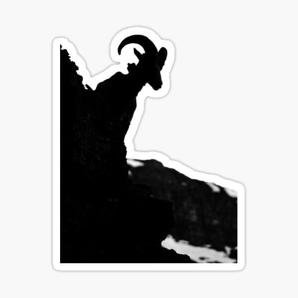 Bighorn Sheep Sticker