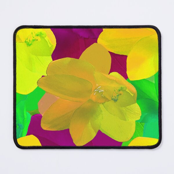Item preview, Christmas Cactus - Photography / Pink, Blue, Yellow Christmas Cactus / Floral Photography designed and sold by Victoria Rose.