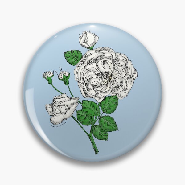 Item preview, White Rosette Rose Bloom Semi-Double 8-15 Petals In 2 Rows designed and sold by Rachael Taylor.