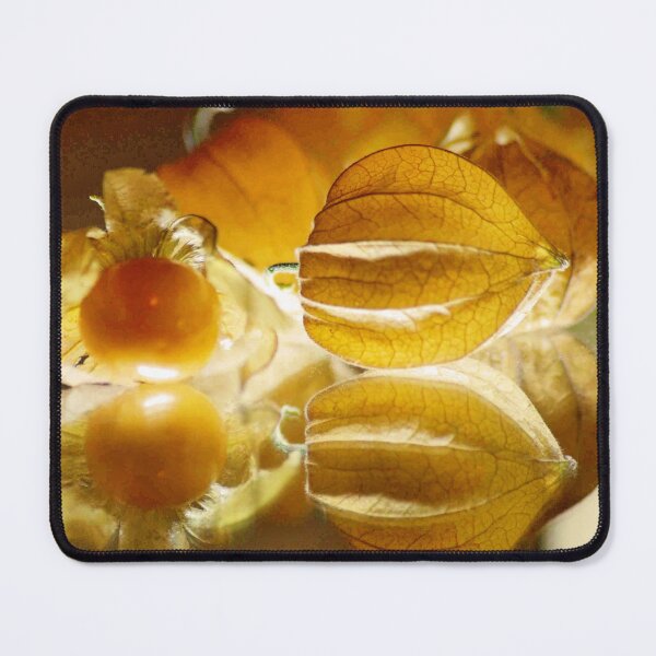 Item preview, THE GOOSEBERRY - Physalis Solanaceae designed and sold by Magriet Meintjes.