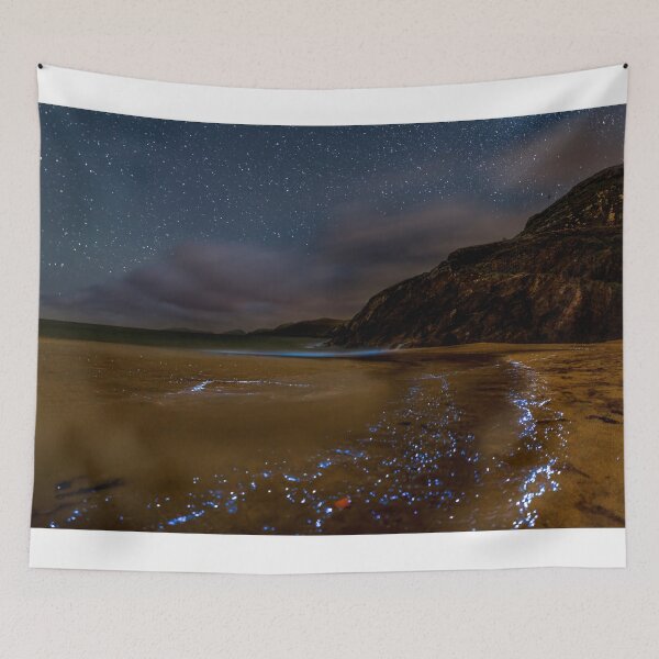 Aperçu de l'œuvre Coumeenoole Beach et Bioluminescence, Irlande créée et vendue par rogerstanger.