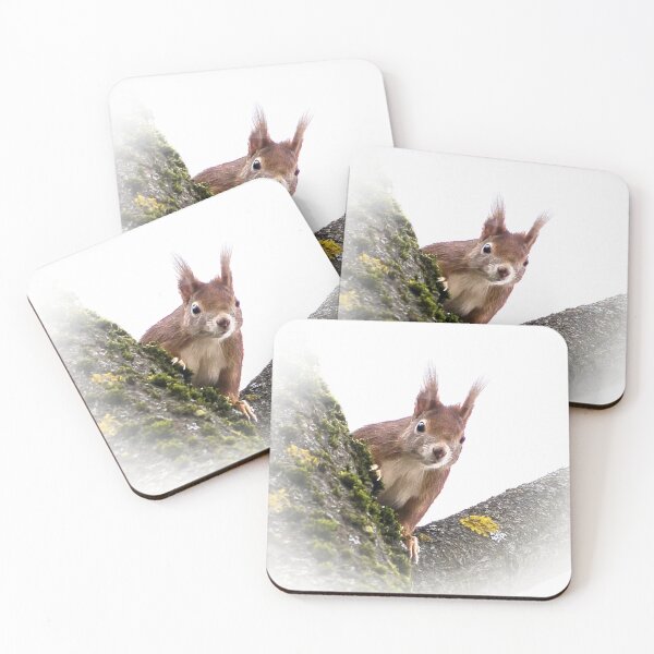 Item preview, squirrel designed and sold by Katja LebenFreude.