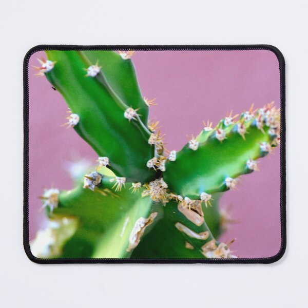 Item preview, Branching Cactus designed and sold by MercerImages.
