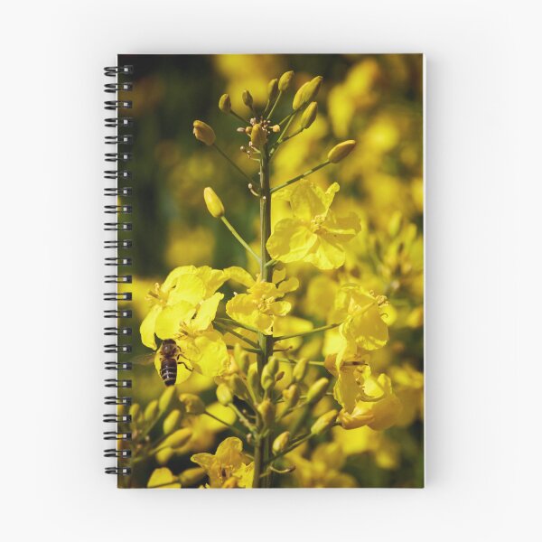 Item preview, spring rapeseed designed and sold by ThomasFoto.