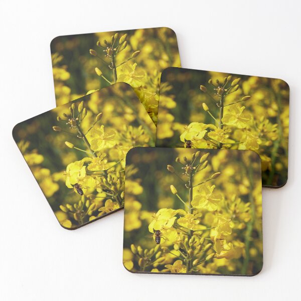 Item preview, spring rapeseed designed and sold by ThomasFoto.