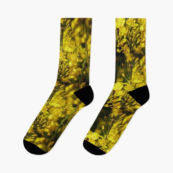 Item preview, spring rapeseed designed and sold by ThomasFoto.
