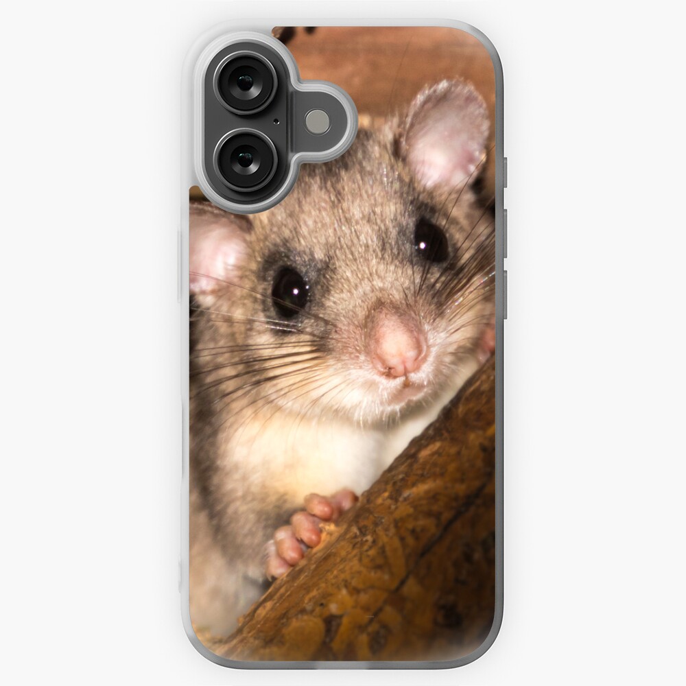 Artikel-Vorschau von iPhone Flexible Hülle, designt und verkauft von Igelchen.