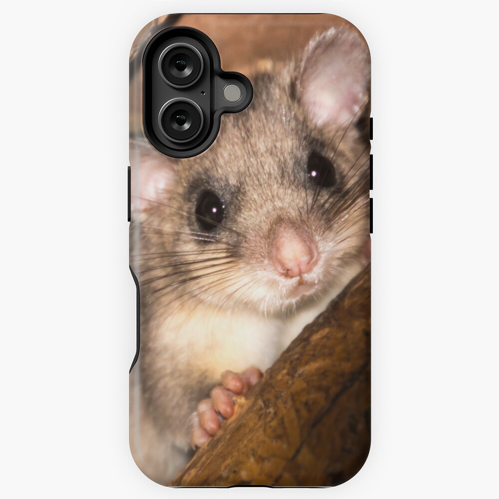 Artikel-Vorschau von iPhone Robuste Hülle, designt und verkauft von Igelchen.
