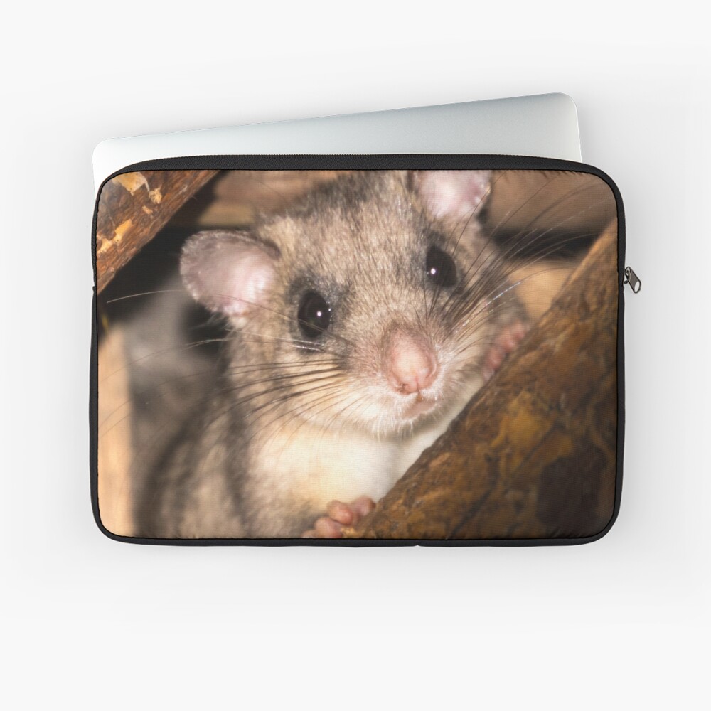 Artikel-Vorschau von Laptoptasche, designt und verkauft von Igelchen.