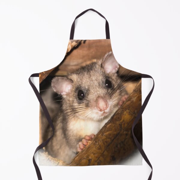 Item preview, Dormouse designed and sold by Katja LebenFreude.
