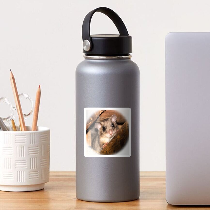 Artikel-Vorschau von Glänzender Sticker, designt und verkauft von Igelchen.