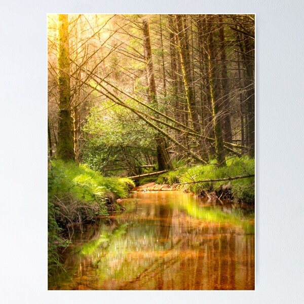 Item preview, Bosques de Glentenassig, Irlanda designed and sold by rogerstanger.