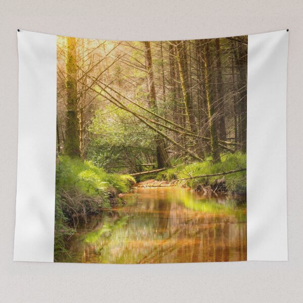 Aperçu de l'œuvre Bois de Glentenassig, Irlande créée et vendue par rogerstanger.
