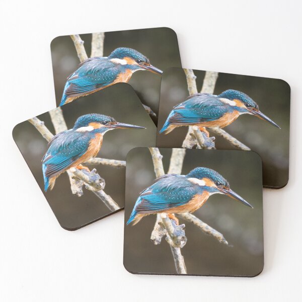 Item preview, Kingfisher on the Little Stour, Canterbury designed and sold by rogerstanger.