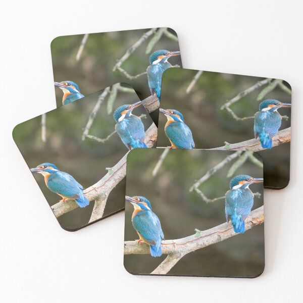 Item preview, A pair of Kingfishers on teh Little Stour designed and sold by rogerstanger.