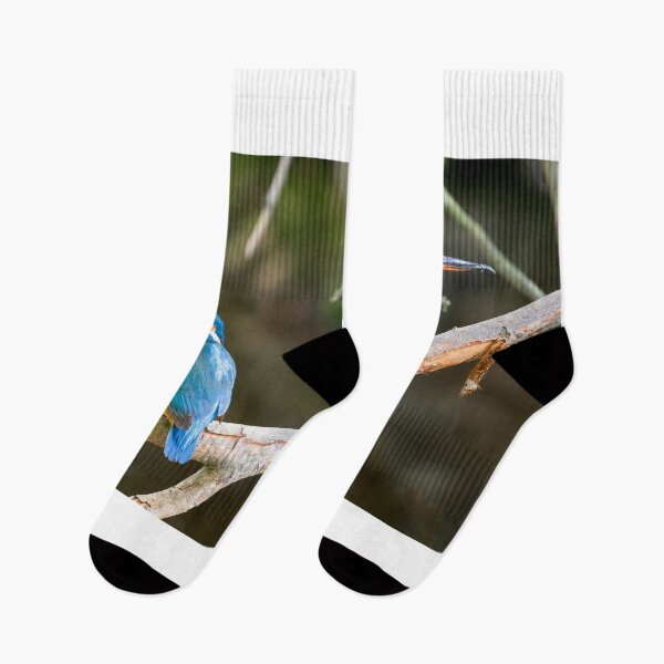 Item preview, A pair of Kingfishers on teh Little Stour designed and sold by rogerstanger.