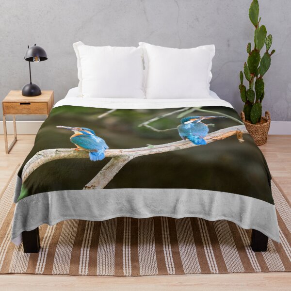 Item preview, A pair of Kingfishers on teh Little Stour designed and sold by rogerstanger.