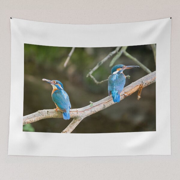 Item preview, A pair of Kingfishers on teh Little Stour designed and sold by rogerstanger.
