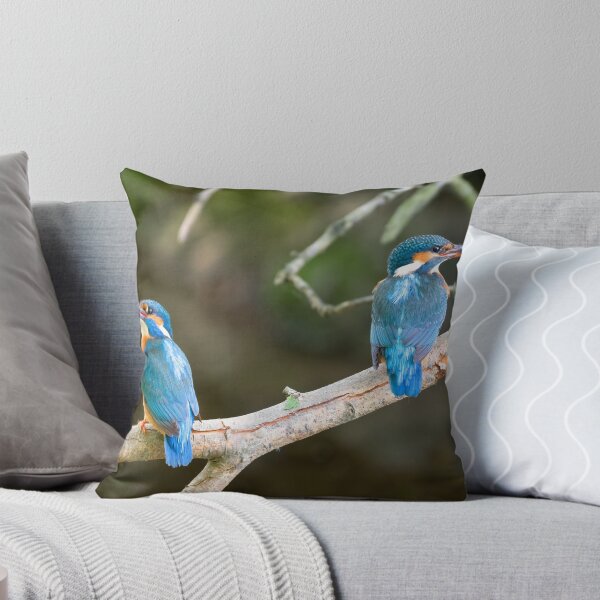 Item preview, A pair of Kingfishers on teh Little Stour designed and sold by rogerstanger.