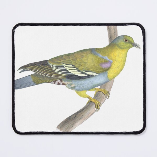 Item preview, Yellow Dove Vintage Color Lithograph designed and sold by ElegantTeaTime.