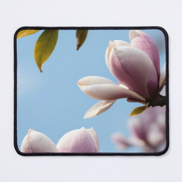 Item preview, Magnolias designed and sold by Sidney Graf.