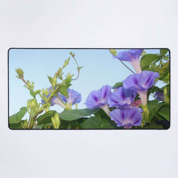 Item preview, A Mornings Glory Landscape Photograph designed and sold by taiche.