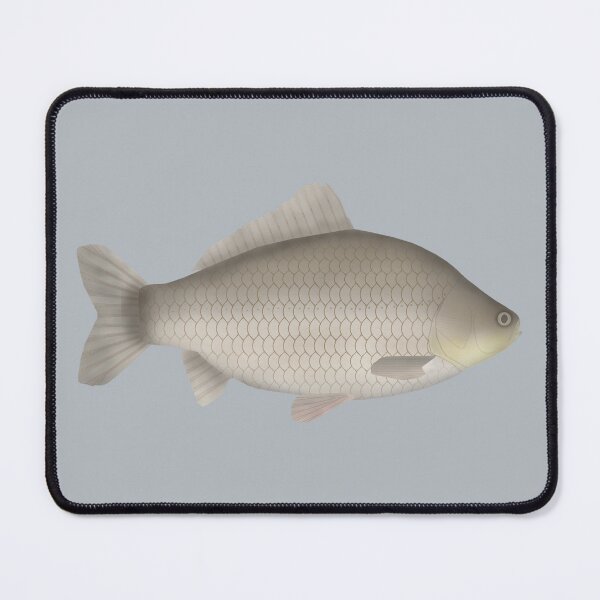 Item preview, Prussian Carp designed and sold by fishfolkart.