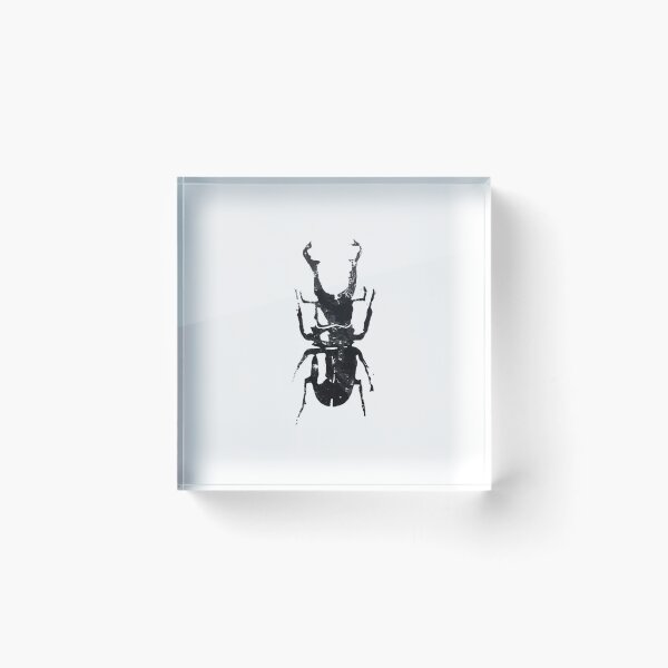 Item preview, Beetle Print designed and sold by noraoneillart.