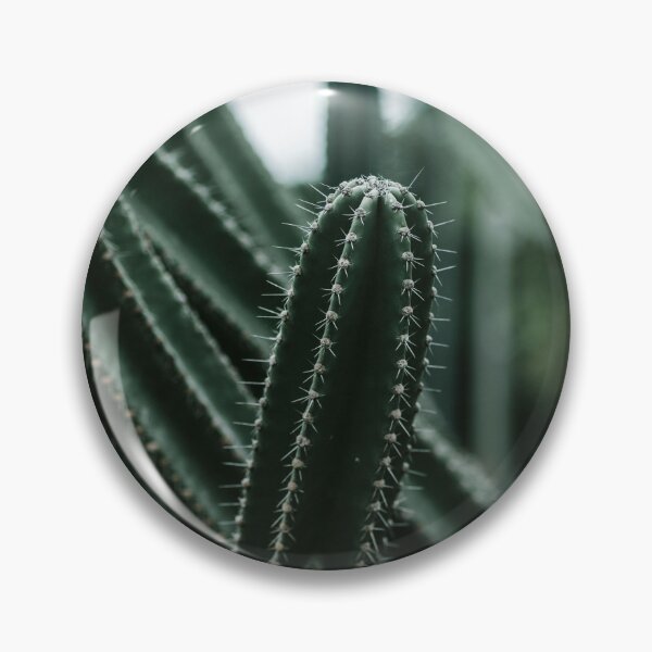 Item preview, Close-Up of Vibrant Green Cactus with Spines (Desert Plant) designed and sold by marcinkucharski.