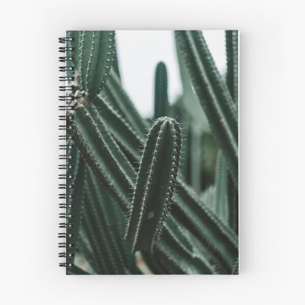 Item preview, Close-Up of Vibrant Green Cactus with Spines (Desert Plant) designed and sold by marcinkucharski.