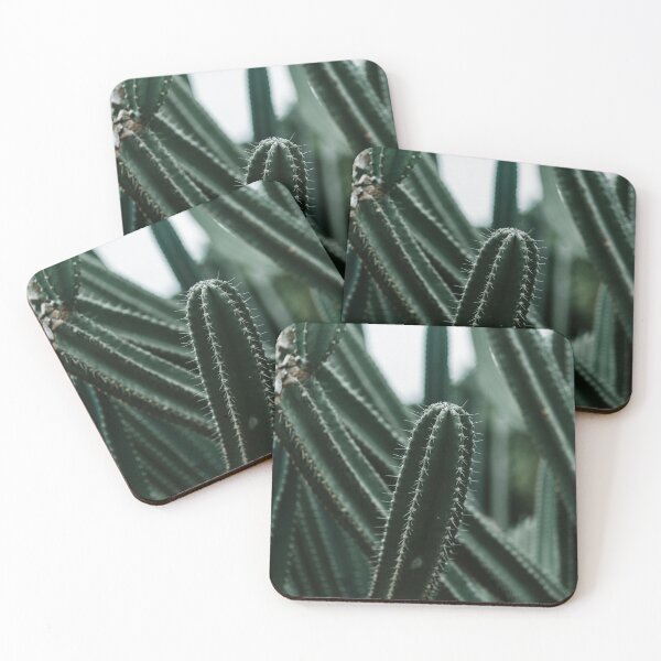 Item preview, Close-Up of Vibrant Green Cactus with Spines (Desert Plant) designed and sold by marcinkucharski.