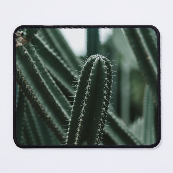 Item preview, Close-Up of Vibrant Green Cactus with Spines (Desert Plant) designed and sold by marcinkucharski.