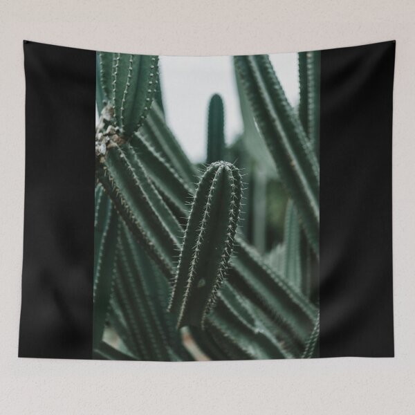 Item preview, Close-Up of Vibrant Green Cactus with Spines (Desert Plant) designed and sold by marcinkucharski.