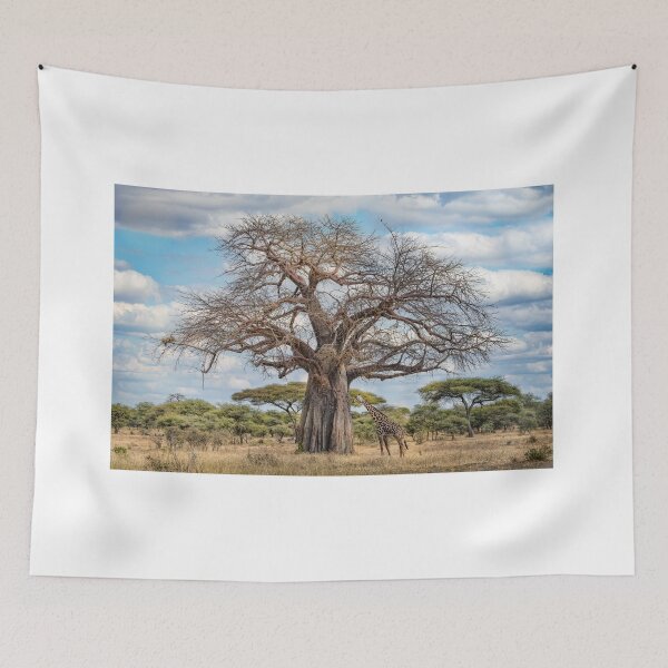 Item preview, How Tall is Tall? designed and sold by vagabondgal.