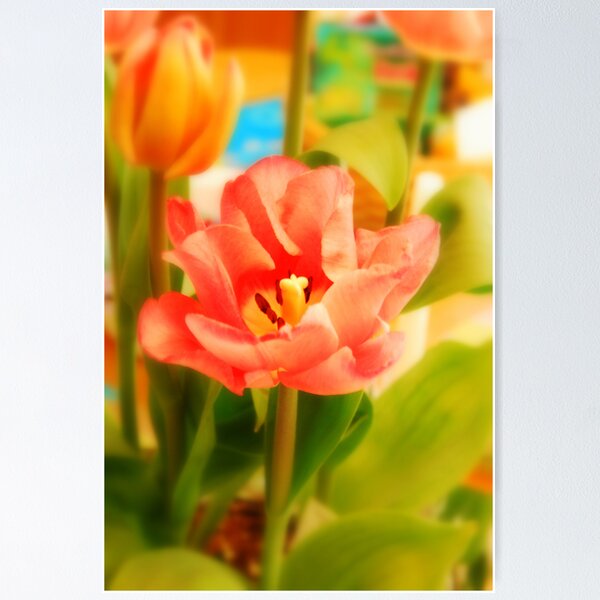 Item preview, Blooming... designed and sold by LindaR.