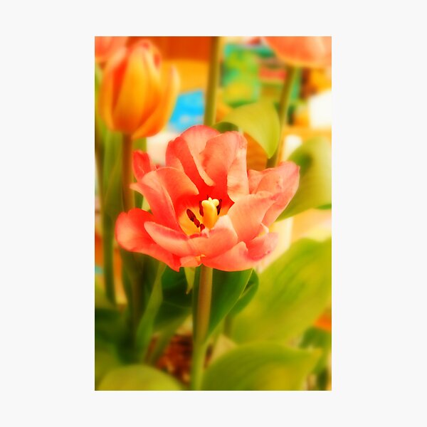 Item preview, Blooming... designed and sold by LindaR.