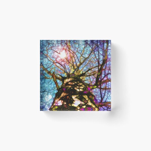 Item preview, Birch Tree Looking Up designed and sold by Daniel Janda.