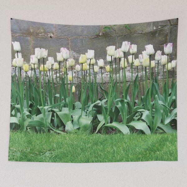 Item preview, Tulip Lineup designed and sold by igspence.