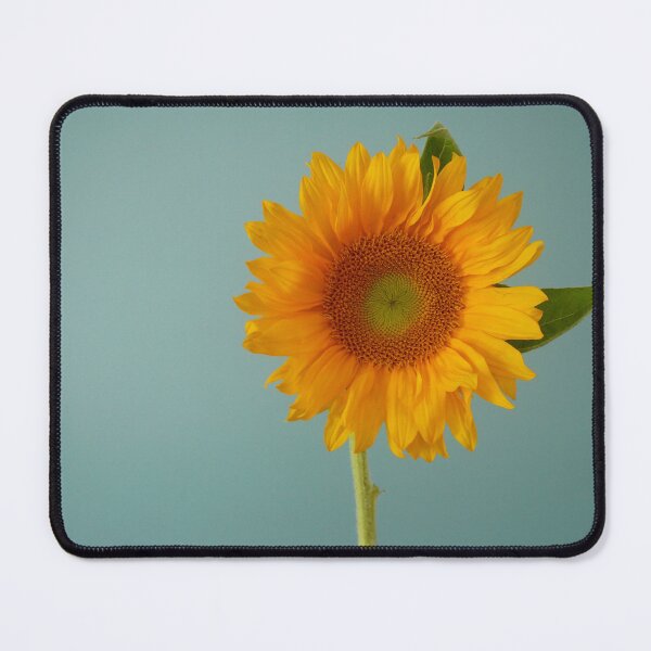 Item preview, Blue Back Sunflower designed and sold by jennycloseup.
