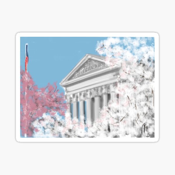 Cherry Blossoms and Supreme Court Sticker