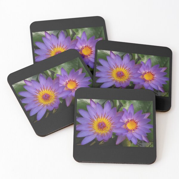 Item preview, Lotus Sisters designed and sold by jennycloseup.