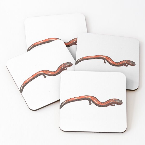 Item preview, Eastern Red Backed Salamander  designed and sold by Lily Hamilton.