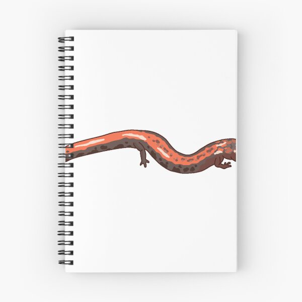 Item preview, Eastern Red Backed Salamander  designed and sold by Lily Hamilton.