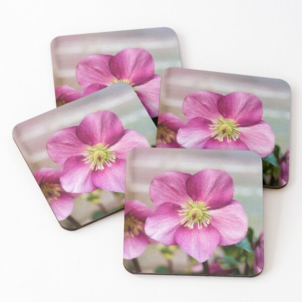 Item preview, Helleborus Leona Flower  designed and sold by Tanya C  Smith.