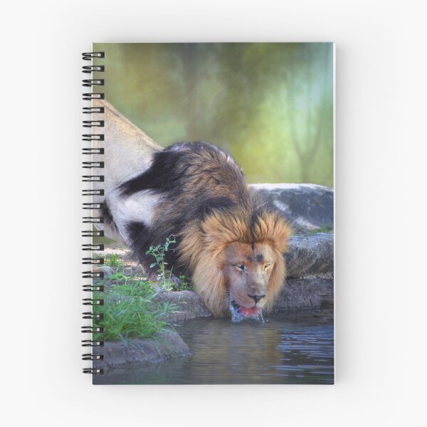 Item preview, Hasani  designed and sold by Savannah Gibbs.