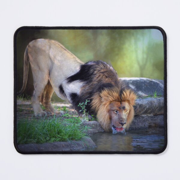 Item preview, Hasani  designed and sold by Savannah Gibbs.