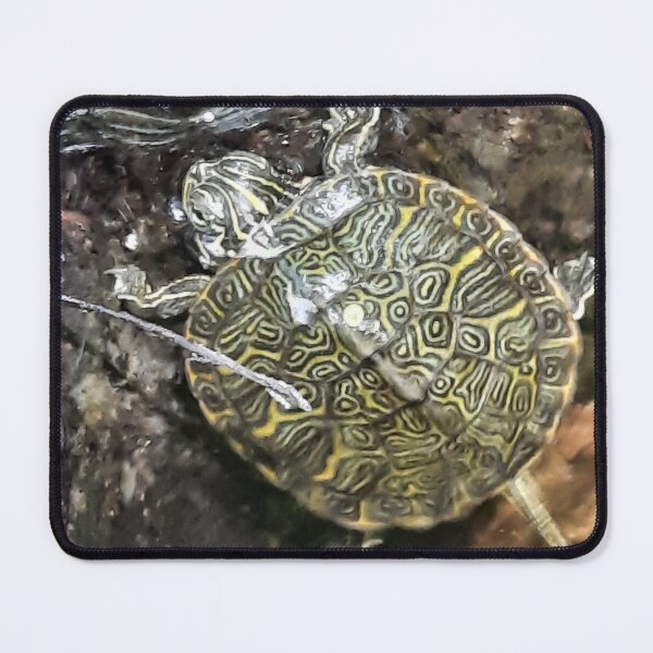 Item preview, Small Green Turtle designed and sold by AdelbernDesigns.