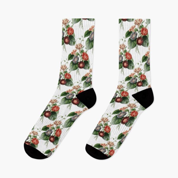 Item preview, Beautiful Bindweed Botanical Vector Art Pattern designed and sold by taiche.
