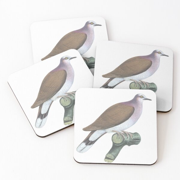 Item preview, Leptoptila Jamaicensis Dove Vintage Color Lithograph designed and sold by ElegantTeaTime.