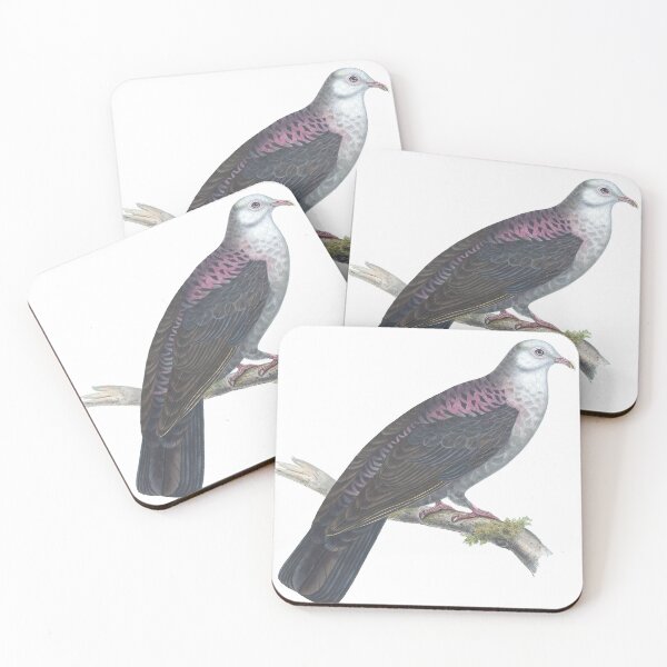 Item preview, Leucomelaena Norfolciensis Dove Vintage Color Lithograph designed and sold by ElegantTeaTime.